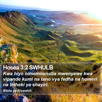 Hosea 3:2 SWHULB Bible Verse Image