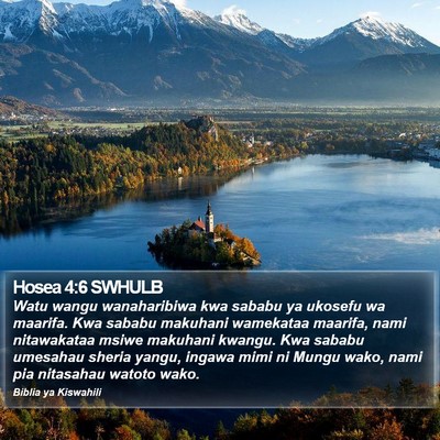 Hosea 4:6 SWHULB Bible Verse Image