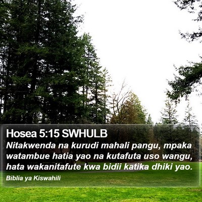 Hosea 5:15 SWHULB Bible Verse Image