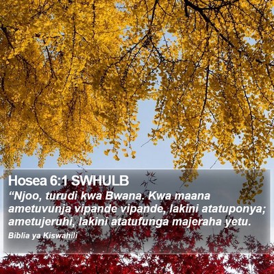 Hosea 6:1 SWHULB Bible Verse Image