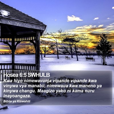 Hosea 6:5 SWHULB Bible Verse Image