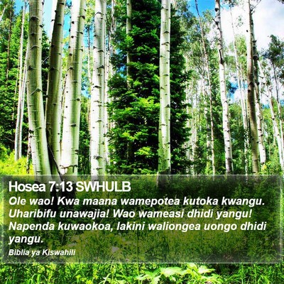 Hosea 7:13 SWHULB Bible Verse Image