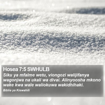 Hosea 7:5 SWHULB Bible Verse Image