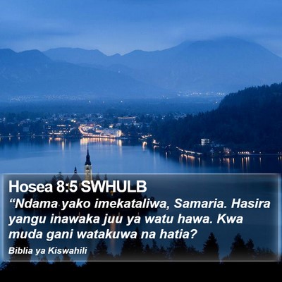 Hosea 8:5 SWHULB Bible Verse Image