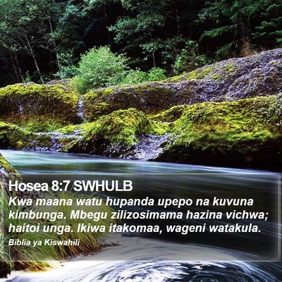 Hosea 8:7 SWHULB Bible Verse Image