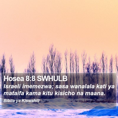 Hosea 8:8 SWHULB Bible Verse Image