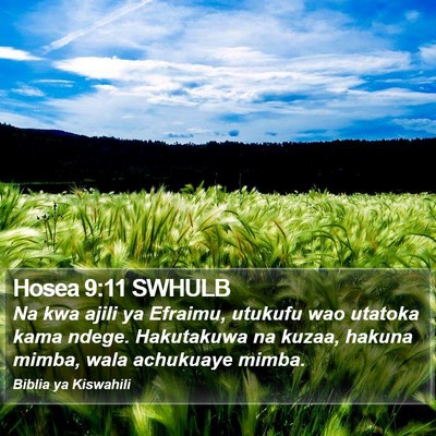 Hosea 9:11 SWHULB Bible Verse Image