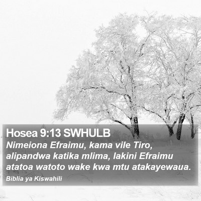 Hosea 9:13 SWHULB Bible Verse Image