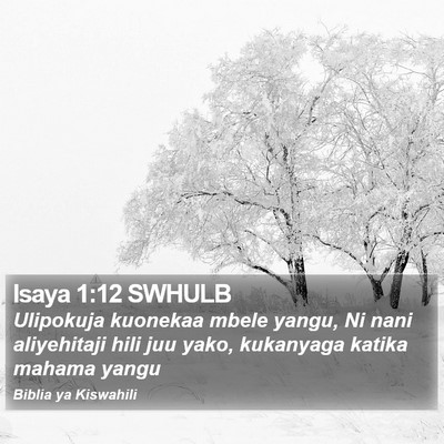 Isaya 1:12 SWHULB Bible Verse Image