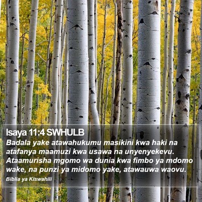 Isaya 11:4 SWHULB Bible Verse Image