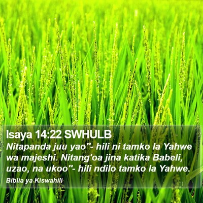 Isaya 14:22 SWHULB Bible Verse Image