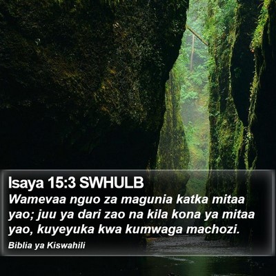 Isaya 15:3 SWHULB Bible Verse Image