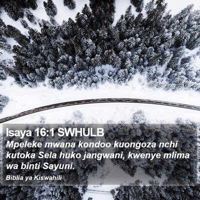 Isaya 16:1 SWHULB Bible Verse Image