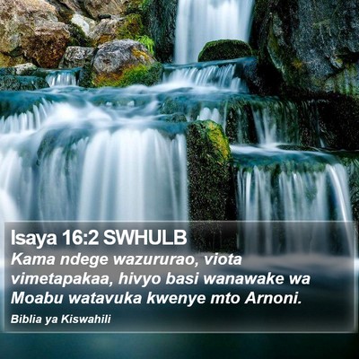 Isaya 16:2 SWHULB Bible Verse Image