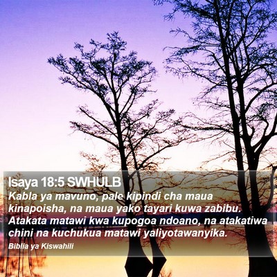 Isaya 18:5 SWHULB Bible Verse Image