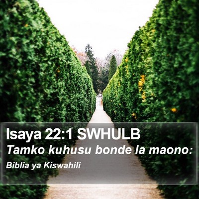 Isaya 22:1 SWHULB Bible Verse Image