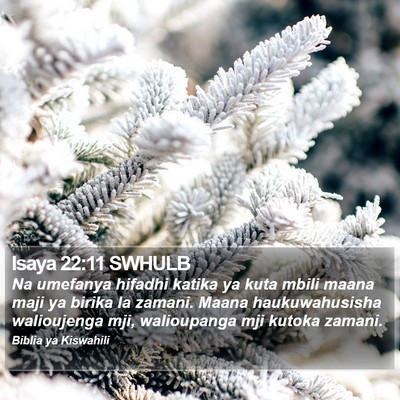 Isaya 22:11 SWHULB Bible Verse Image