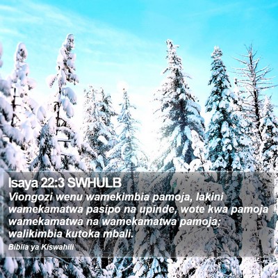 Isaya 22:3 SWHULB Bible Verse Image