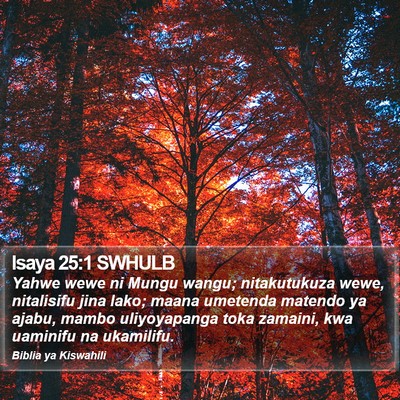 Isaya 25:1 SWHULB Bible Verse Image