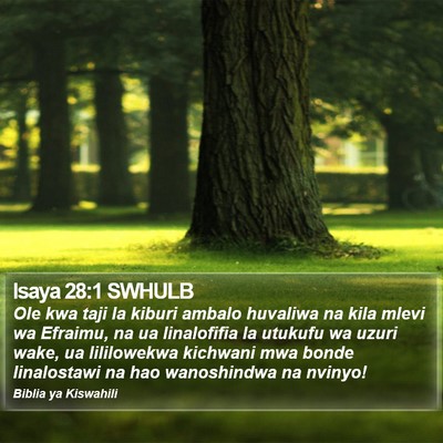 Isaya 28:1 SWHULB Bible Verse Image