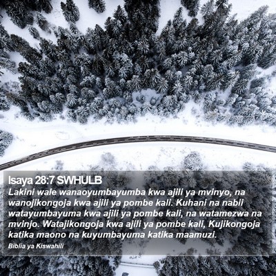 Isaya 28:7 SWHULB Bible Verse Image