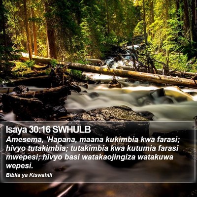Isaya 30:16 SWHULB Bible Verse Image