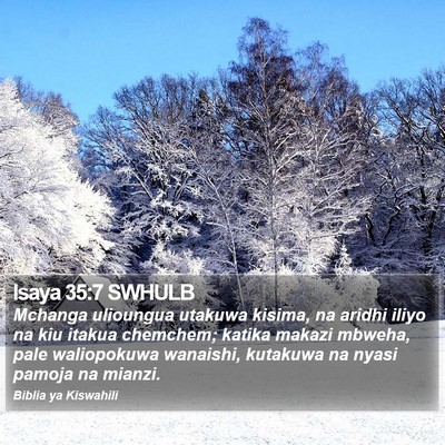 Isaya 35:7 SWHULB Bible Verse Image