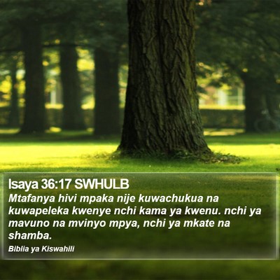 Isaya 36:17 SWHULB Bible Verse Image