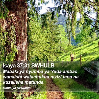 Isaya 37:31 SWHULB Bible Verse Image