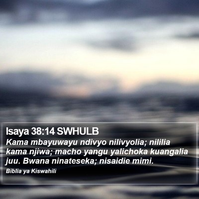 Isaya 38:14 SWHULB Bible Verse Image