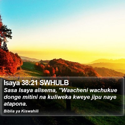 Isaya 38:21 SWHULB Bible Verse Image