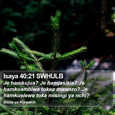 Isaya 40:21 SWHULB Bible Verse Image