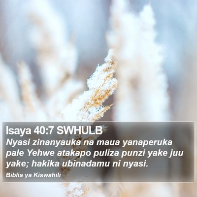 Isaya 40:7 SWHULB Bible Verse Image