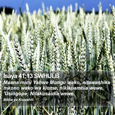 Isaya 41:13 SWHULB Bible Verse Image