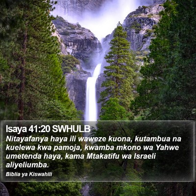 Isaya 41:20 SWHULB Bible Verse Image
