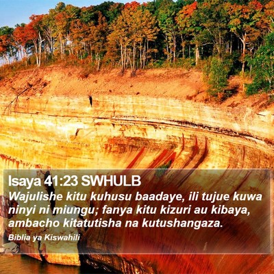 Isaya 41:23 SWHULB Bible Verse Image