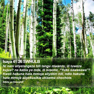 Isaya 41:26 SWHULB Bible Verse Image
