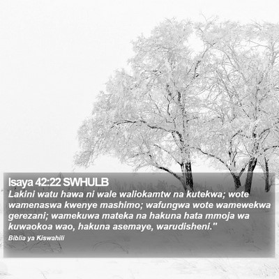 Isaya 42:22 SWHULB Bible Verse Image