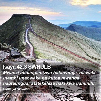 Isaya 42:3 SWHULB Bible Verse Image