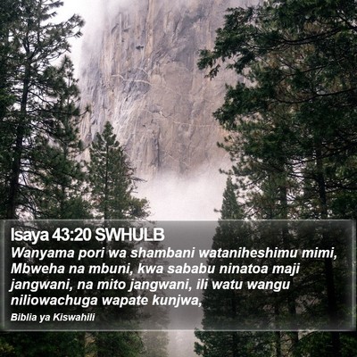 Isaya 43:20 SWHULB Bible Verse Image
