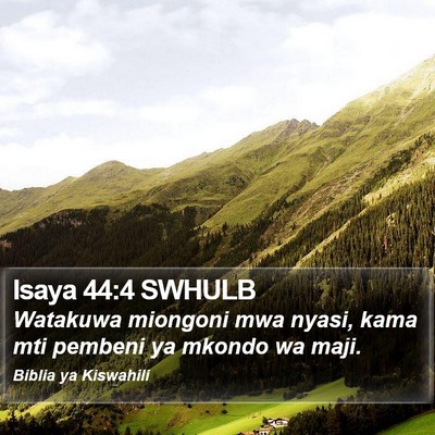 Isaya 44:4 SWHULB Bible Verse Image