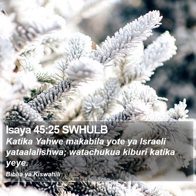 Isaya 45:25 SWHULB Bible Verse Image