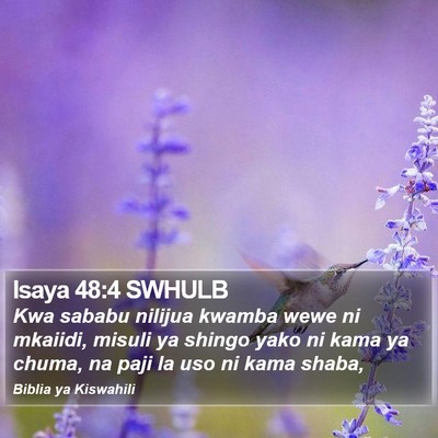 Isaya 48:4 SWHULB Bible Verse Image