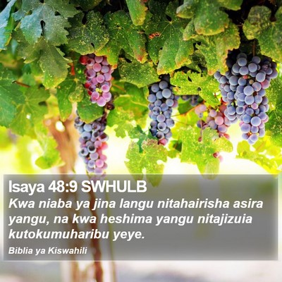 Isaya 48:9 SWHULB Bible Verse Image