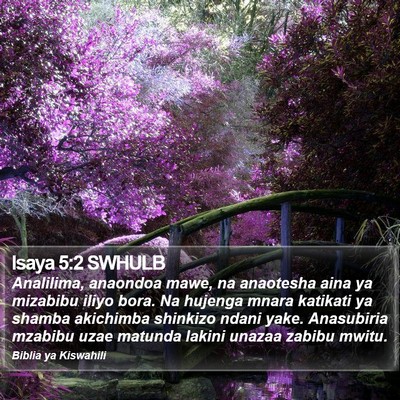 Isaya 5:2 SWHULB Bible Verse Image