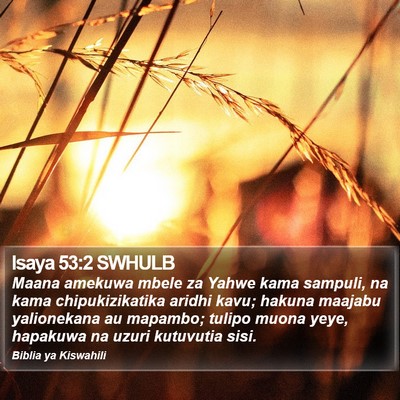Isaya 53:2 SWHULB Bible Verse Image