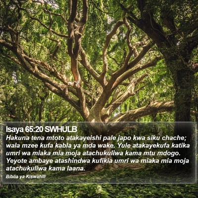 Isaya 65:20 SWHULB Bible Verse Image
