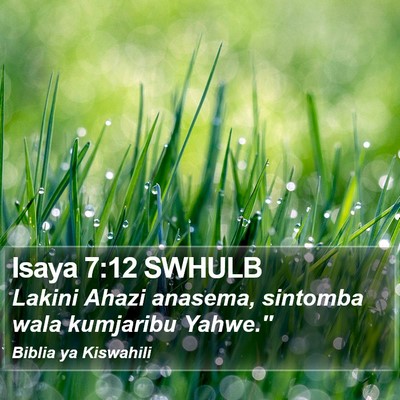 Isaya 7:12 SWHULB Bible Verse Image