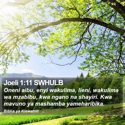 Joeli 1:11 SWHULB Bible Verse Image