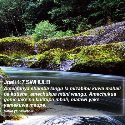 Joeli 1:7 SWHULB Bible Verse Image